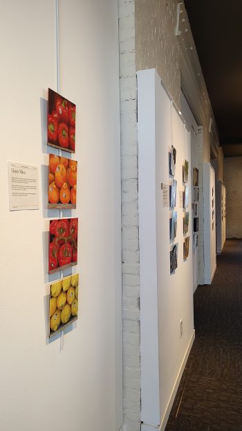 Daily Painting Exhibition 2025 - Image 3